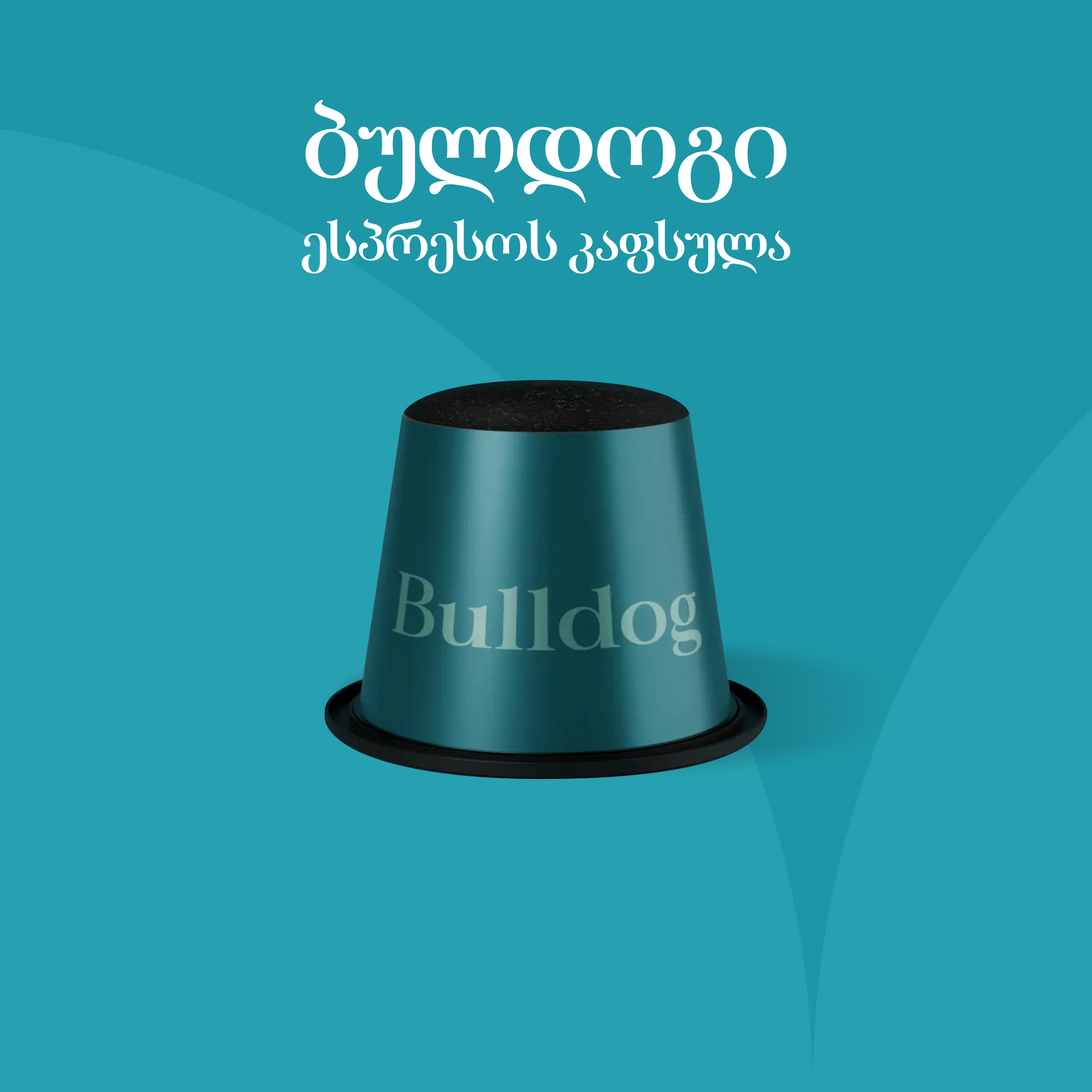 ბულდოგი ცალობით - Tier Point