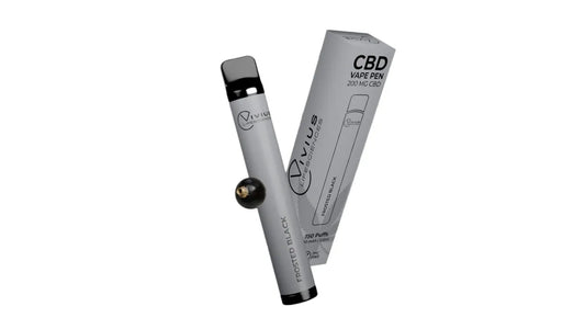 Disposable Vapes, 2.0ml, 600 Puffs, 500mAh, Frosted Black